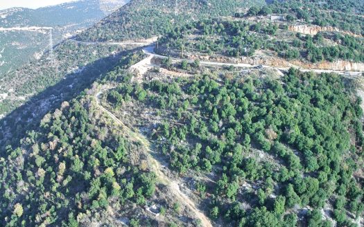 Land for sale in Haqel Jbeil