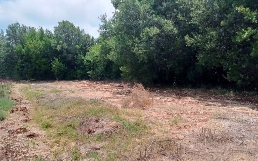Land for sale in Maad Jbeil