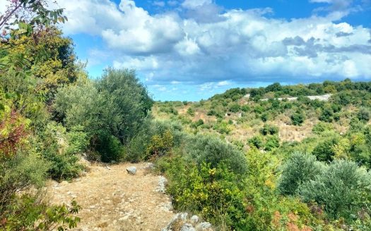 Land for sale in Chikhan