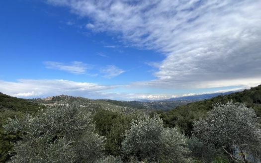 Land for sale in Batroun Bejdarfel