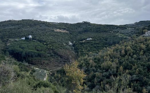 Land for sale in Batroun Sourat