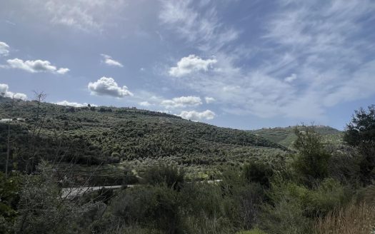 Land for sale in batroun kfarhay