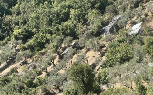 Land for sale in Batroun Deria