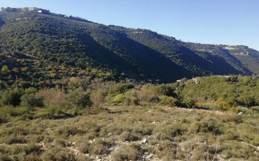 Land for sale in Ain Kfaa Jbeil