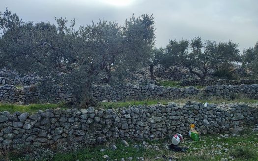 land for sale in Batroun Chabtine