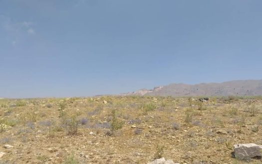 land for sale in Ain Dara Aley