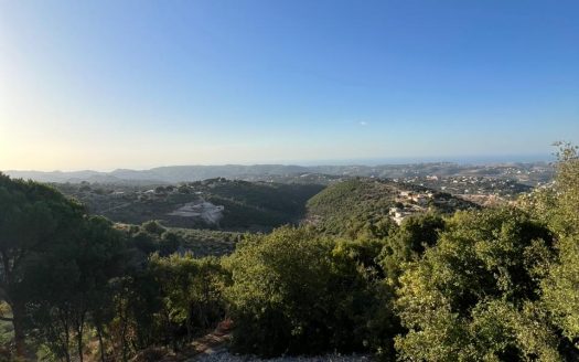 Land for sale in Batroun Helta