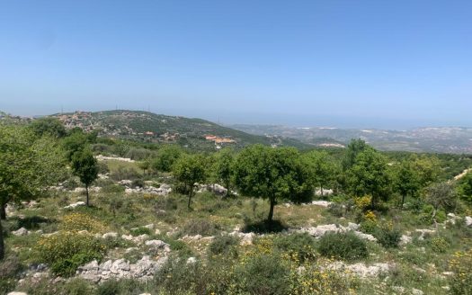Land for sale in Asia Batroun