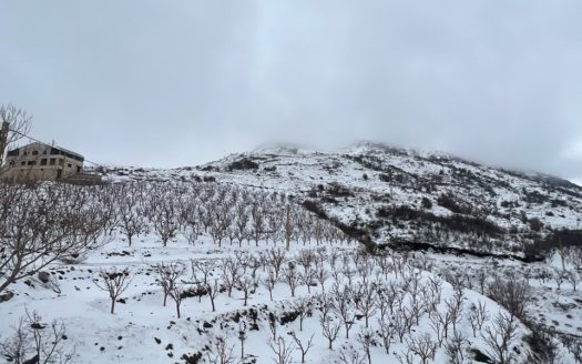 Land for sale in Tannourine