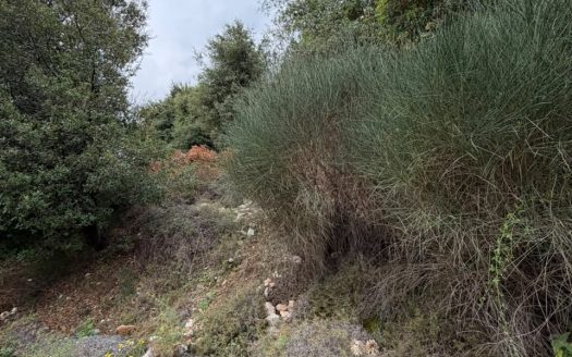 Land for sale in Beit Chelala Batroun