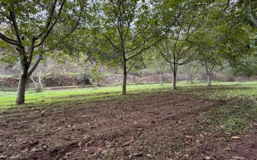 Land for sale in Beit Chelala Batroun